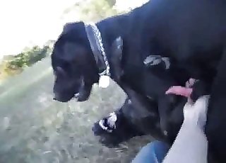 Bestiality dog tube