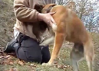 Mature bestiality sex