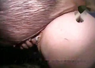 Mature Zoo Porn
